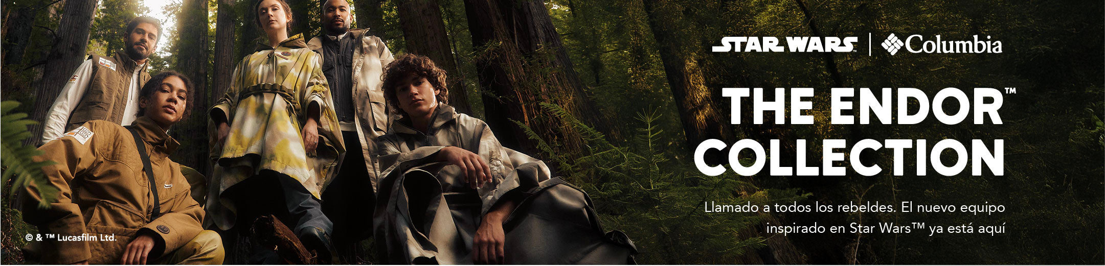 THE ENDOR COLLECTION